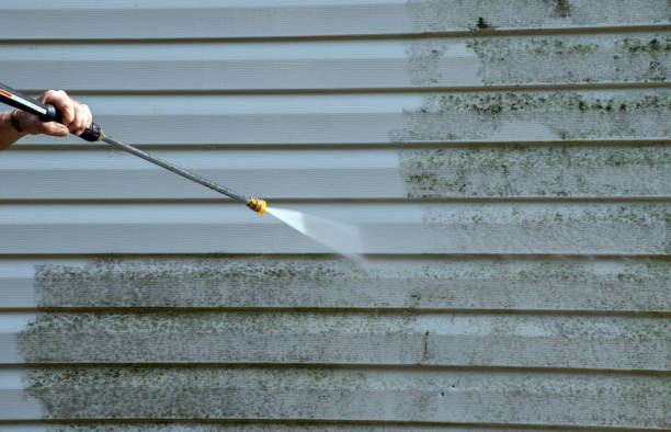 Mold Removal Process in Eden, NC