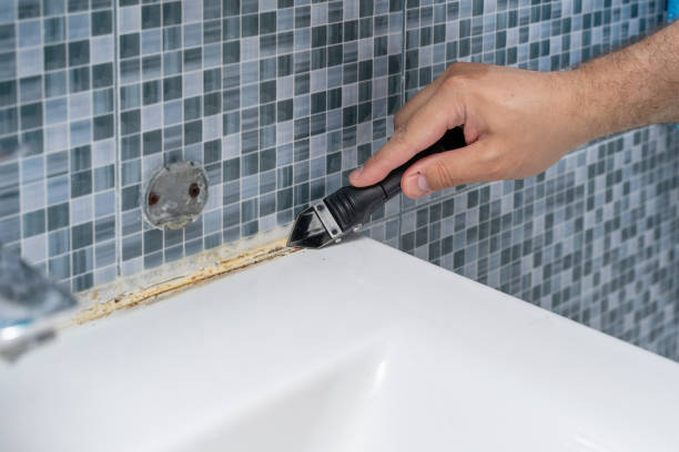 Best Fast Mold Removal  in Eden, NC